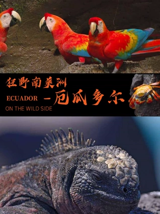 午夜福利影院免费